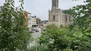 La forêt prospère en ville.  Une intention louable, mais les méthodes utilisées sont peu éprouvées et l’avenir des plantations pas toujours garanti ©P.Fayolle